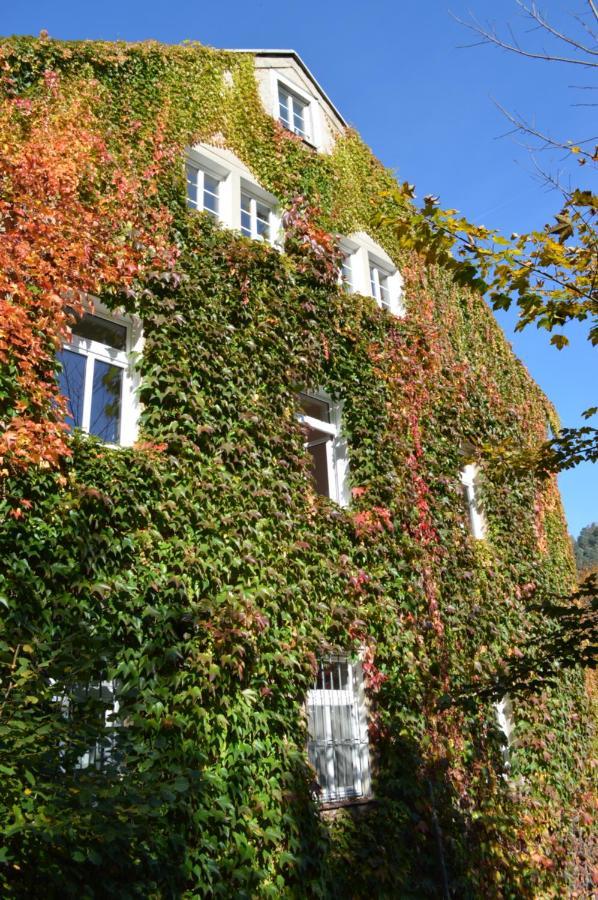 Burg Schoena Schmilka Extérieur photo